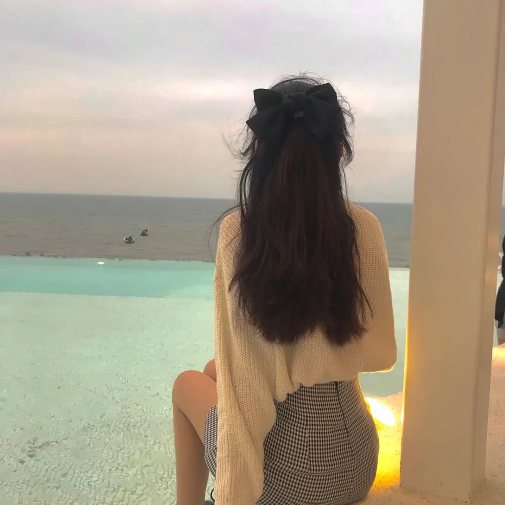 最后的飞行